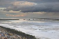 Ameland at its most beautiful