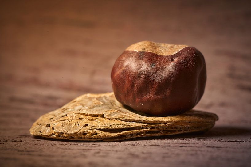 Autumn still life ... by Eric Fotografie