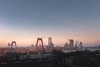 Willemsbrug, Rotterdam