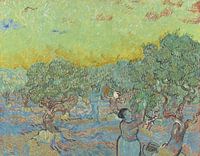Olive grove with two olive pickers, Vincent van Gogh