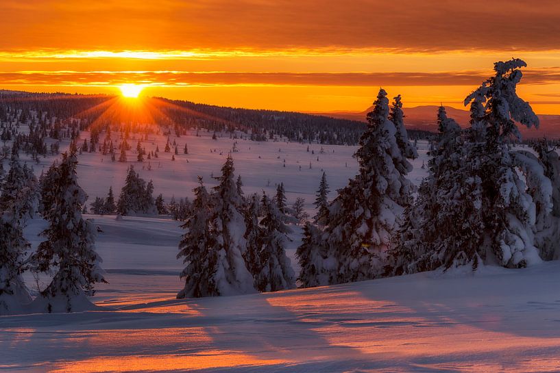 Coucher de soleil d'hiver en Norvège par Adelheid Smitt