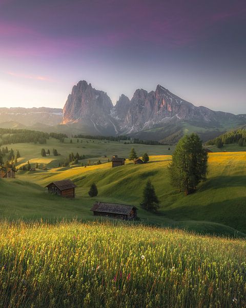 Dolomites par Frans van der Boom