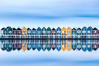 Rietplas Houten Reflectie 