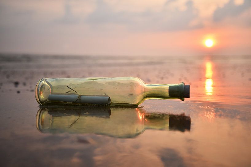 Flaschenpost von Dianne van der Velden