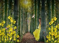 Der Käsekräuterwald