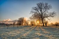 Grensmaas, Meers, Südlimburg.