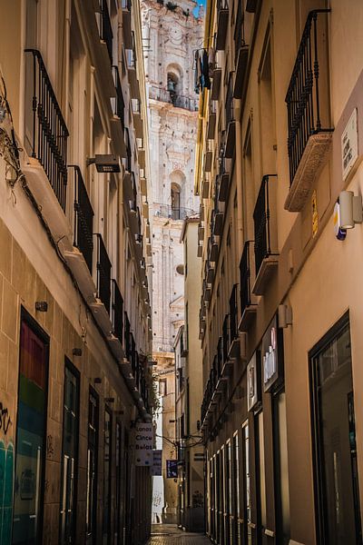 Malaga von Frans Janssen