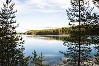 reflection in the water