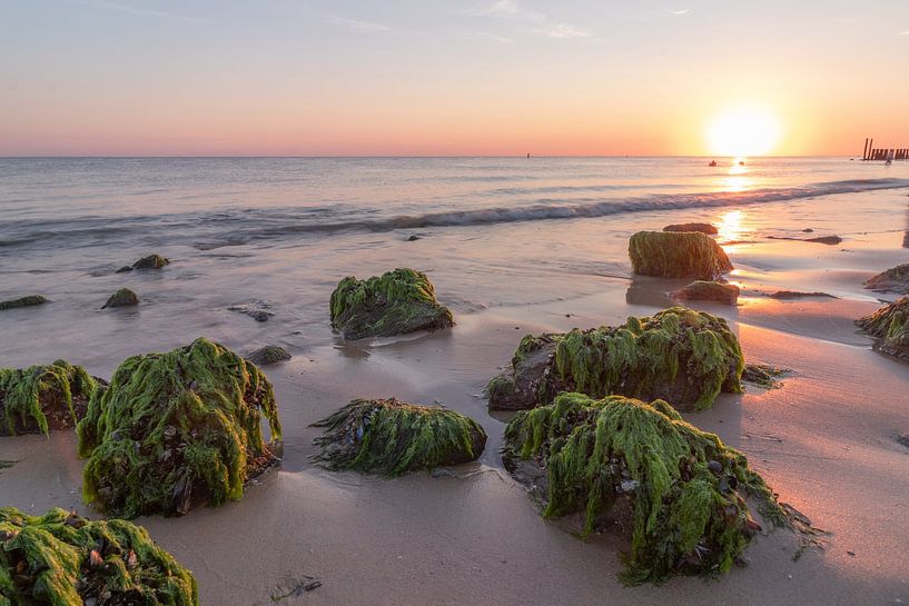 Coucher de soleil violet en Zélande par Tom Hengst