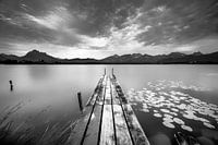 Lumière d'ambiance au Hopfensee dans l'Allgäu en noir et blanc