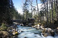 Berchtesgadener Land, hut on the river