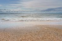 Kieselsteine und Muscheln