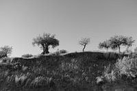 Impressions sur l'Espagne et le Portugal 5