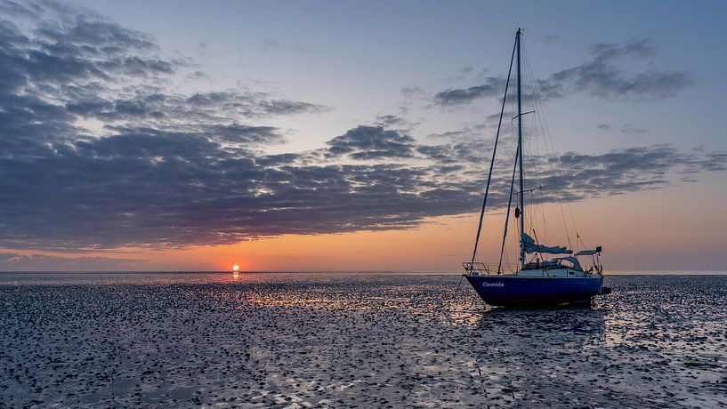 Texel on the mudflats - - Caramba by Texel360Fotografie Richard Heerschap