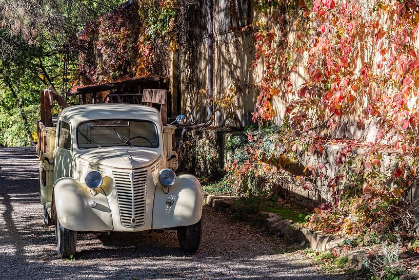 Klassischer Fiat Pickup auf italienischem Weinberg von Lex van Doorn