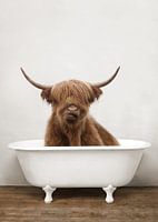 Lustiger schottischer Highlander