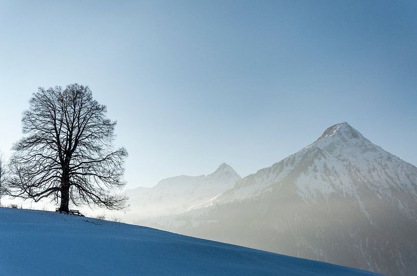 Niesen von Ivo Ketelaar