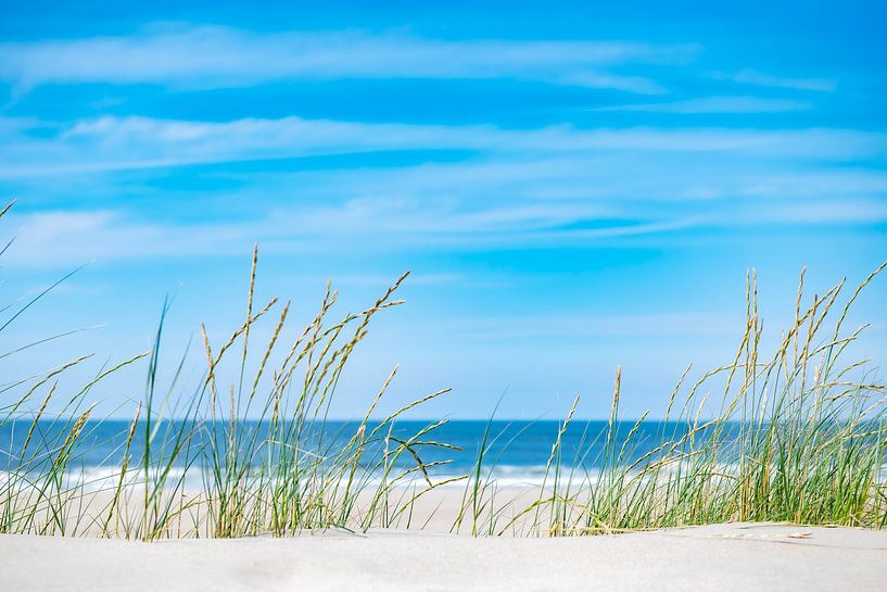 Sommer auf Vlieland. von Ron van der Stappen