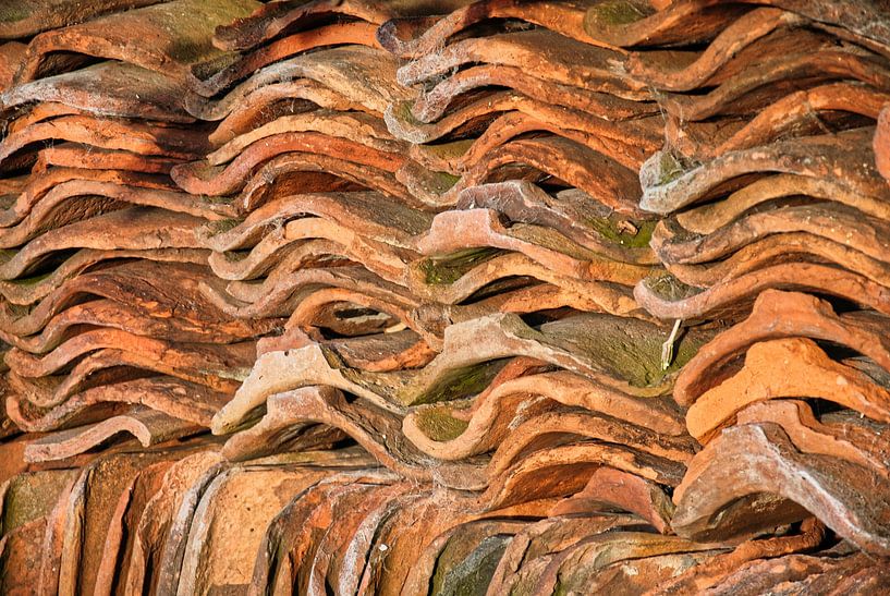 Historische Dacheindeckung von Natuurpracht   Kees Doornenbal