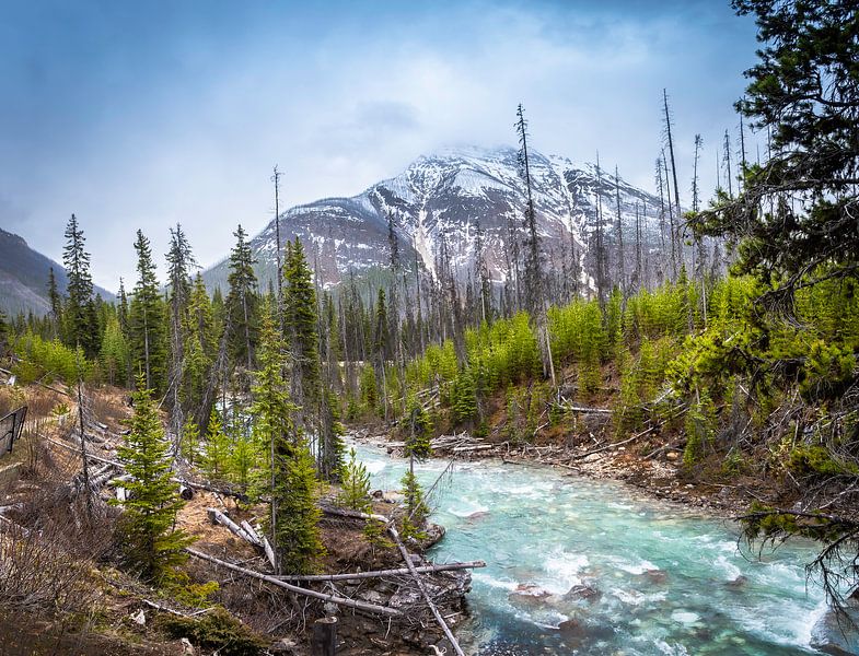 Schnell fließender Fluss in der Marmorschlucht, Kanada von Rietje Bulthuis