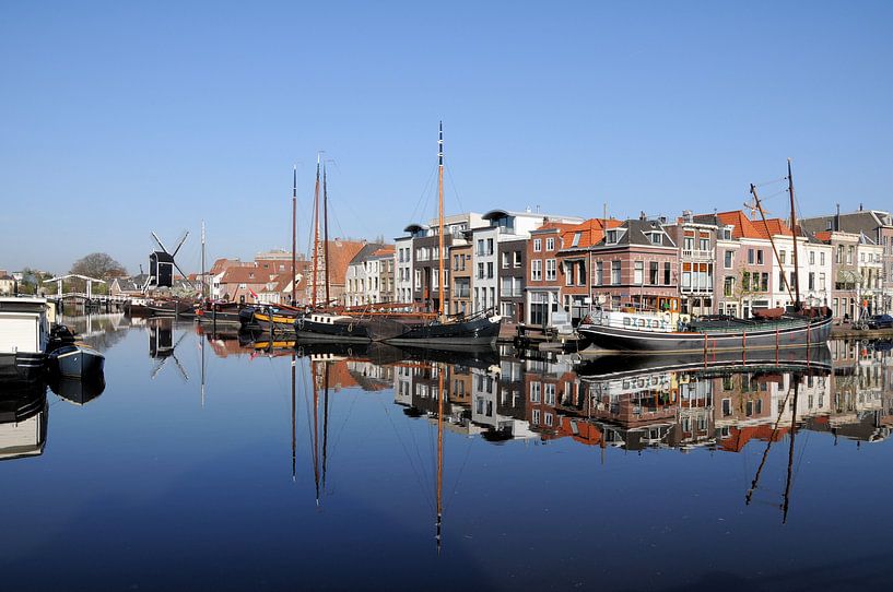 Galgewasser Leiden von Niek Bavelaar