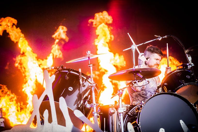 Fallout Boy von Niels Knelis Meijer