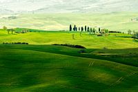 Landscape in Tuscany