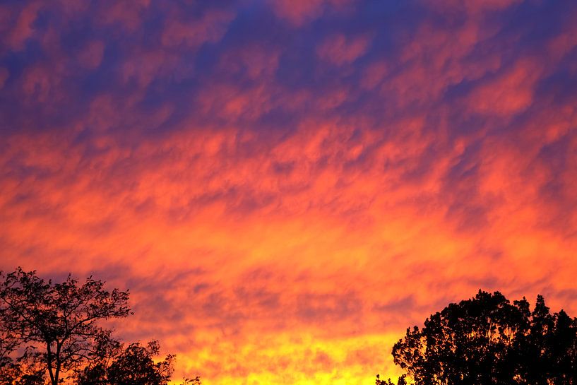 Himmelweit von Thomas Jäger