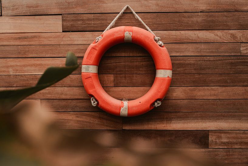 Life buoy on wood with green plant - Zakynthos, Greece - travel photography by Irmgard Averesch