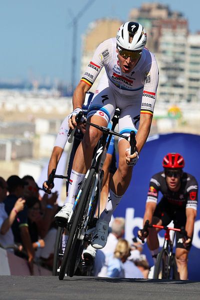 Tim Merlier, champion UEC, short de course blanc par FreddyFinn