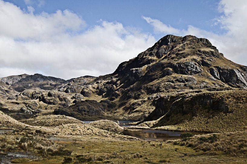 Cajas National Park, Ecuador by Karsten van Dam