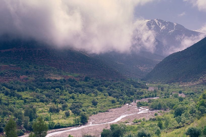 Das grüne Tal von Sander van Leeuwen