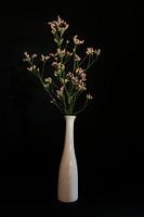 Stillleben mit bunten Blumen in einer weißen Vase