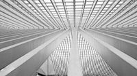 Guillemins hatch