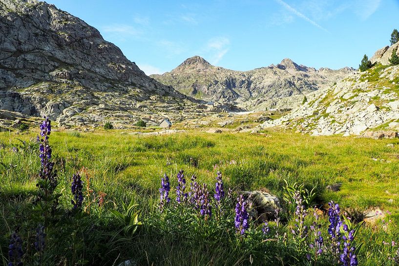 HRP &amp;amp ; GR11 : Pyrénées sauvages, aventure et montagne à l'état pur. Acheter maintenant des photographies impressionnantes de la nature sur toile ou tableau mural - la liberté sur les traces des sentiers alpins. par Miriam Schwarzfischer Fotografie