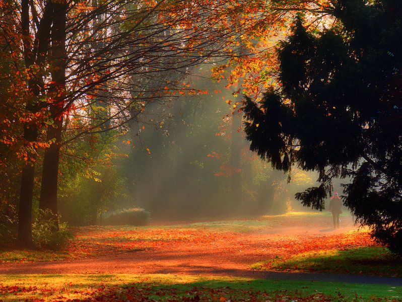 Sunrays 8 by Edgar Schermaul