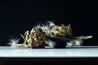 Still Life Dried Artichoke