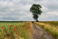 Der Weg ist das Ziel