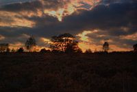 Sallandse Heuvelrug bij Nijverdal