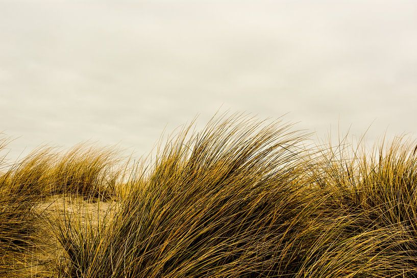 Zee Nieuwpoort von Stef De Vos