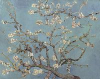 Almond blossom by Vincent van Gogh (soft blue/early dew)
