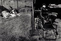 Forth Worth Stock Show Texas