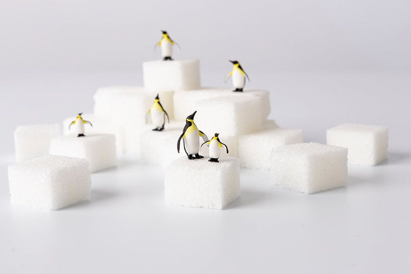 Glückliche Füße von LUNA Fotografie