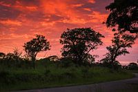 Sonnenaufgang im Umflozi-Wildreservat, Südafrika