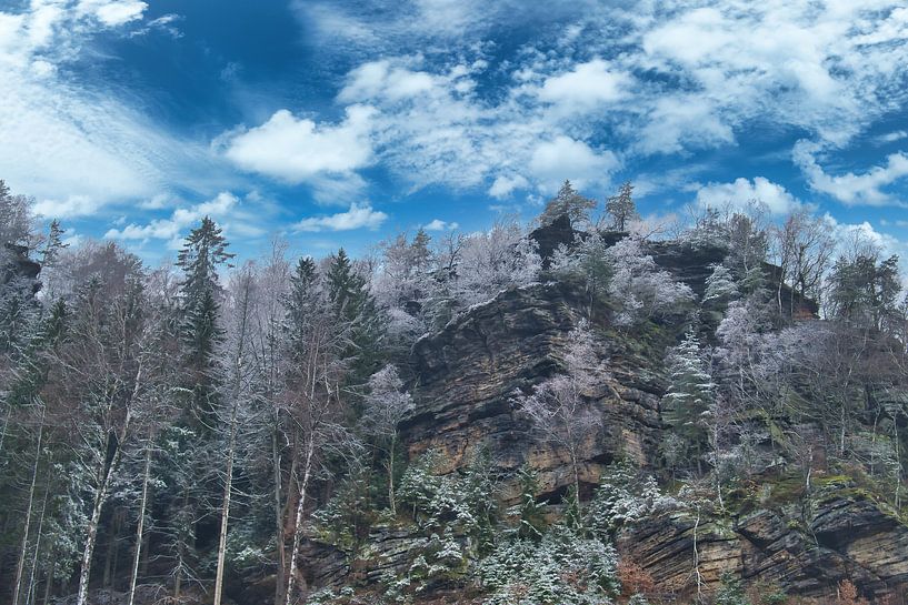 Zschirnstein mit schneebedeckten Bäumen und Nebel auf dem Gipfel von Martin Köbsch