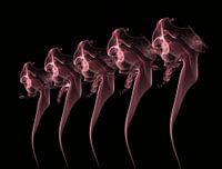 Dansende Rook figuur