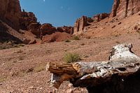 Charyn kloof in Kazachstan
