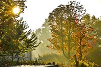 Herbstszene im vollen Sonnenlicht