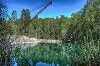 Nature : des arbres au bord d'un lac