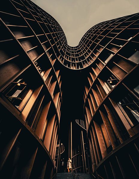 L'homme en géométrie par Jonas Röjestål